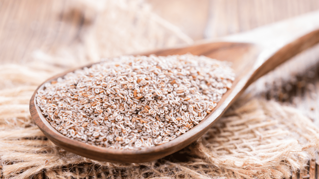  psyllium