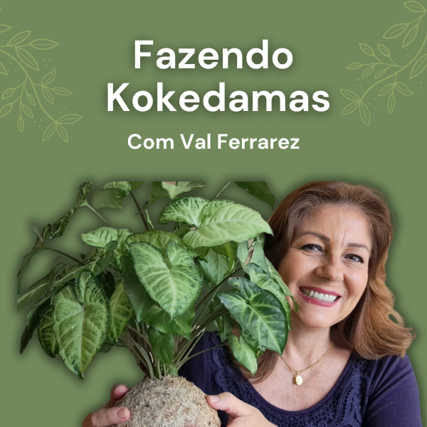 Fazendokokedamas2