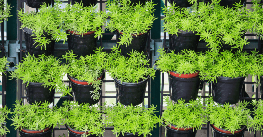 Jardim Vertical De Vasos Empilhados